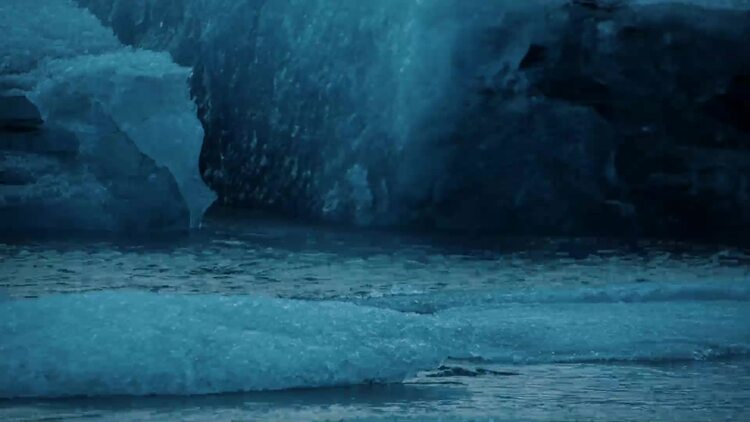 海狮在冰旁的水中游泳