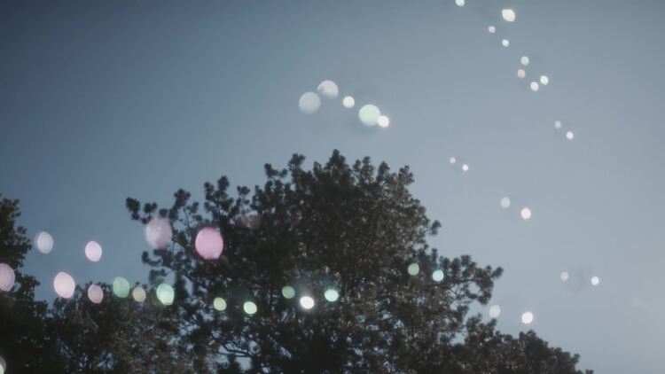 气泡漂浮在空气中，身后是树和天空